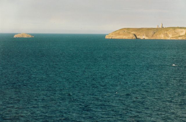 Bild:
                Cap-Fr hel-2